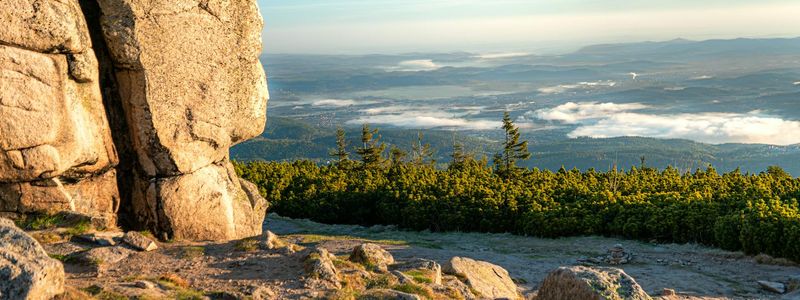 General view of a peaceful morning exercise setting
